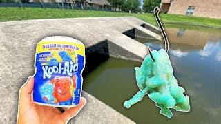 Pond fish can’t resist a bait made from kool-aid chicken