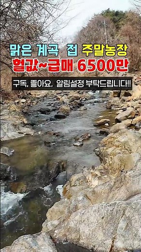 (매물No.5220)맑은 계곡에 접한 주말농장 급매 헐값 6500만 (행운집땅부동산tv)