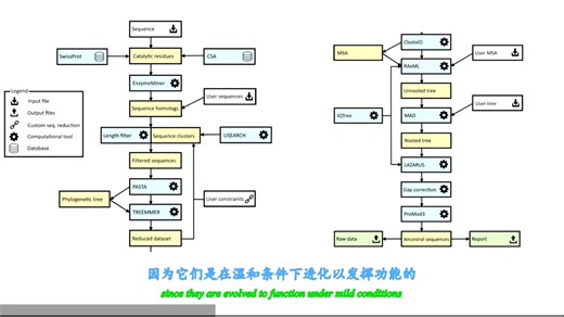 【里程碑】2020 Briefings in Bioinformatics FireProtASR：全自动化祖先序列重建网络服务器
