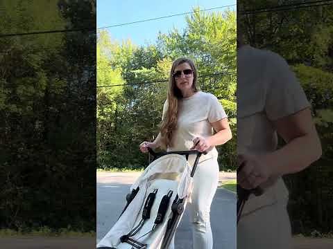 CYBEX Libelle Review! TINY fold!
