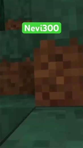 Nevi300 spielt Realmcraft VR! Schau dir das Video unbedingt an! ❤️