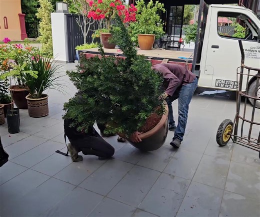 Preparing for Hari Raya: Organizing My Home in Raub