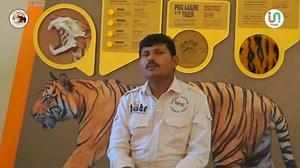 https://www.youtube.com/watch?v=HtWL8yDxrmw Unsung India Presents fresh talk-doc on Birdman of Tadoba In a world rushing forward, one man paused — to listen to the songs of nature. Known as the *Birdman of Tadoba*, he dedicated his life to the forests, protecting the vibrant birdlife of the Tadoba-Andhari Tiger Reserve. His story is not just about birds; it’s about passion, patience, and a promise to protect what cannot speak for itself. Through his efforts, generations have learned to see beaut