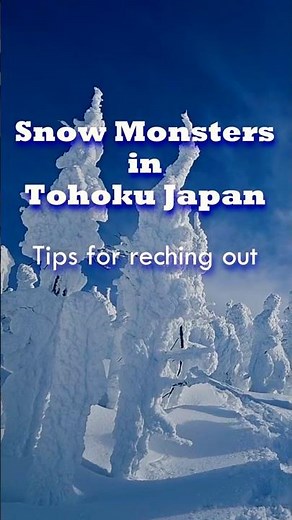 Snow monsters — Juhyo in Tohoku | Guided snowshoe hiking in Northern Japan
