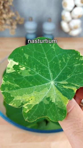 ❌️ No artificial colours ❌️ No artificial flavorings ❌️ No MSG ✅️...