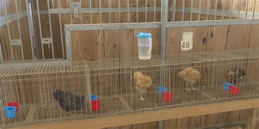 Jackson County’s 52nd Farm City Celebration kicks off