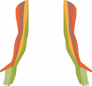 Upper Limb Neurological Examination — Take Aurally