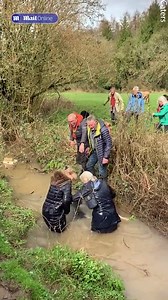 Women end up in waterlogged ditch after trying to avoid cows