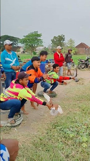 Merpati Balap Sprint