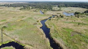The valley in which the river flows borders a large deciduous forest. There are small swamps here and there.