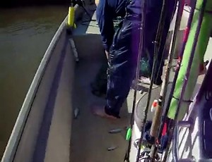 Catching Shad With A Cast Net