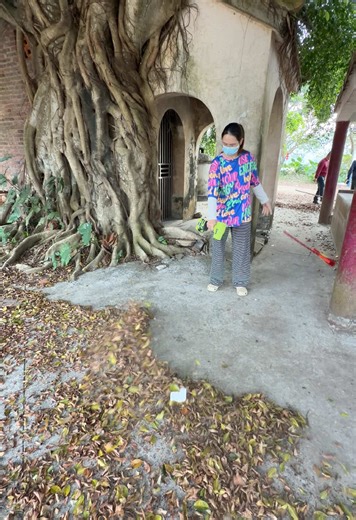 Effortless Cleaning with a Powerful Turbo Fan