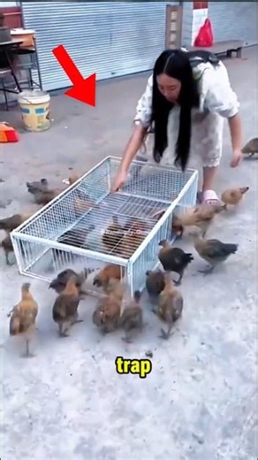 Will you try this legendary trap?😲 #trap #shortvideo #shorts