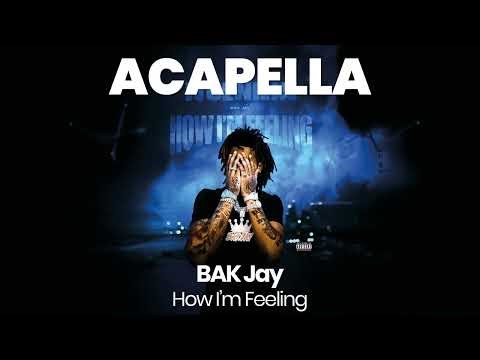 HQ ACAPELLA : How I'm Feeling - BAK Jay (156 BPM, key D minor)