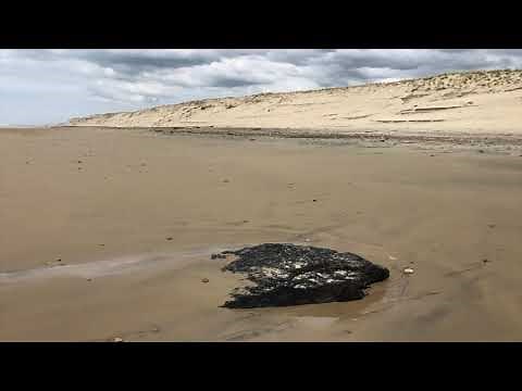 MONTALIVET | CHM Monta Plage Naturiste en Hiver | Montalivet Surf TV