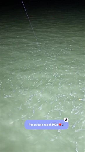Pesca en Lago Rapel 2026: Consejos y Experiencias