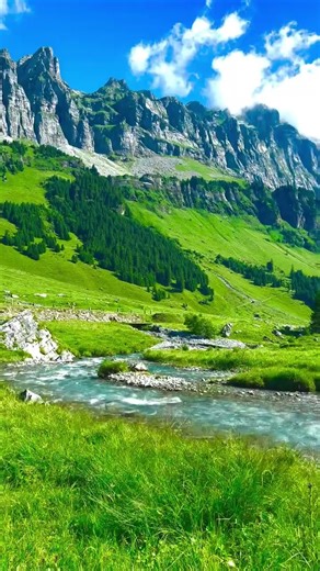 Treating Depression with the Quiet Sounds of Nature #relaxingmusic #nature #birdsong #sleep #travel