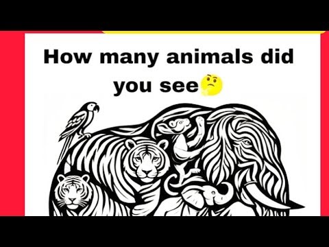 find total numbers of animals 🤔🤨 #iqtest #puzzle #iq #shorts #shortslive