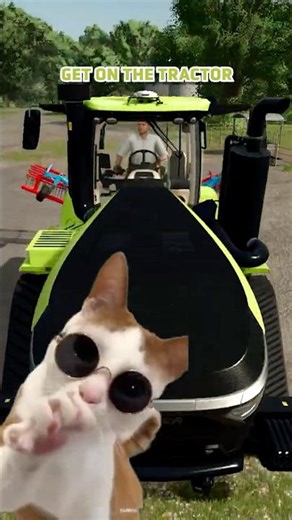 How and Why to Get Rid of Weeds Explained by Cats 😼