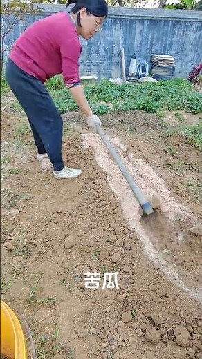 種完番茄就別亂種！這樣輪作，地越種越肥#種菜技巧 #家庭種菜 #番茄種植 #蔬菜輪作 #新手種菜