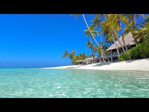 Maldives Atoll 🏝 Turquoise Ocean off Maamunagau Island. Ocean waves 4K Ultra HD