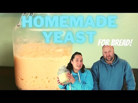 Simple Homemade Bread YEAST STARTER! Make Your Own Yeast From an 1890’s Recipe!