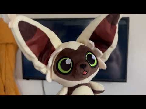 DVD Opening of Aloha Scooby Doo