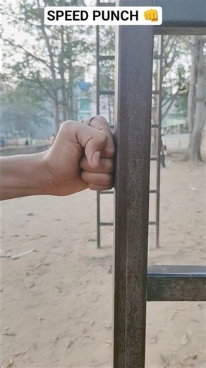 Powerful Punch: Impactful, forceful, strong, direct #youtubeshorts #trending #martialarts #viral#koi