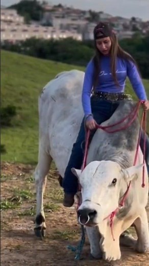 The Insane World of Bull Riding and Cowgirl Skills