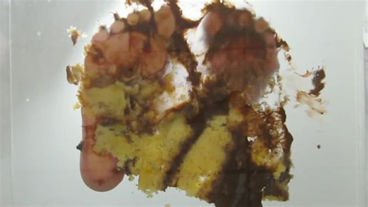 Barefoot Cake Crush - Male Content