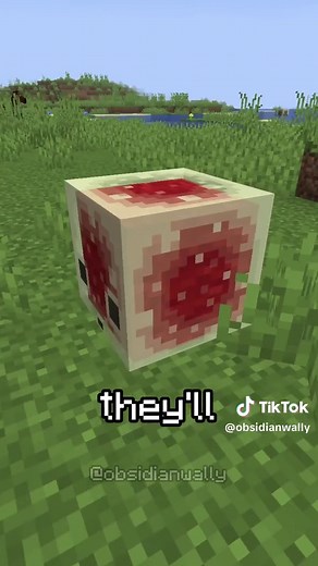 sulfur cube farm in minecraft #minecraft #minecrafttutorial #minecraftbuilds #minecraftmemes