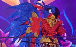 No The Masked Singer, Arara repete estratégia 'puxa-saco' no palco; entenda
