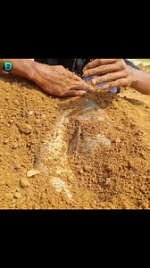 Amazing fish catching methods #fish #fishing #reels #video | Discovery Site