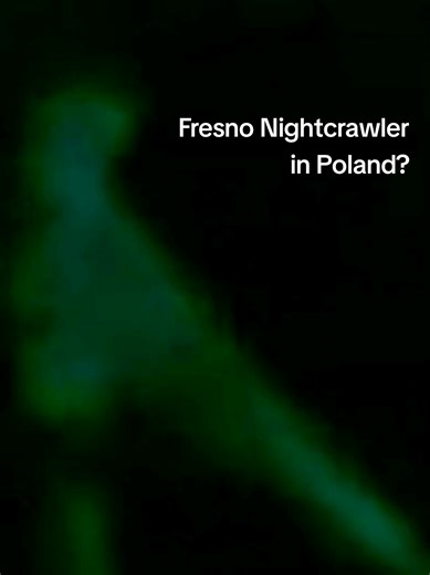 Somethings strange... What do you think? Does this feel legit to you? On California Cryptids we reacted to the controversial Poland Fresno Nightcrawler video. What are your thoughts? #fresnonightcrawler #horror #paranormal #cryptid #react