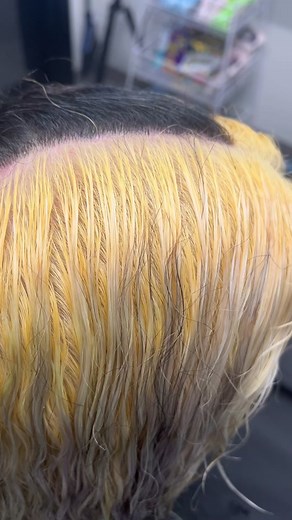 Black and Denim Split Hair Dye Tutorial