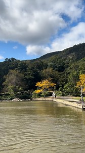 Divining Rod will be joining Circle Line to set the vibe as we sail to #BearMountain 🐻⛰️! Soak up some stunning scenery while being serenaded by an eclectic #countryrock crew when you hop on board any of these cruises: 10/5 10/6, 10/19* 10/20*, and 11/2 11/3! (*NOTE: These cruises will be 4-hour due to tidal conditions. More details and boarding passes are available at circleline.com) | Circle Line Sightseeing Cruises