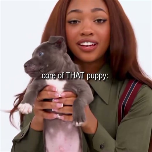 that one puppy core #percyjackson #booktok #pjo #leahjeffries #walkerscobell | credit: @xiolovespjo