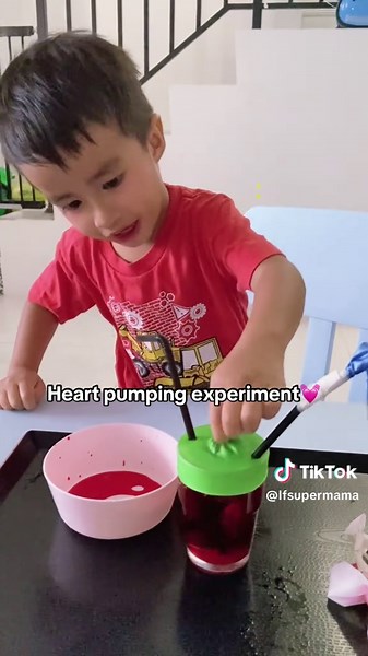 Heart Pumping Experiment for Kids