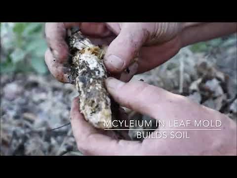 Making JADAM Liquid Fertilizer