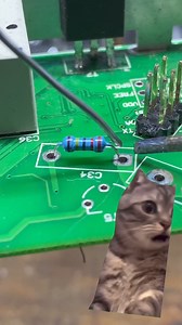 5.3M views · 5K reactions | WOW 勞 | Student of Telecommunication and Electronics Engineering | Facebook