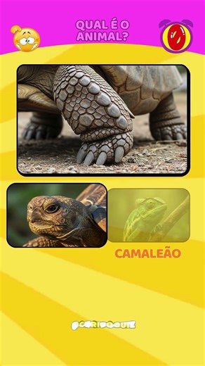 Qual é o animal pela foto da pata?