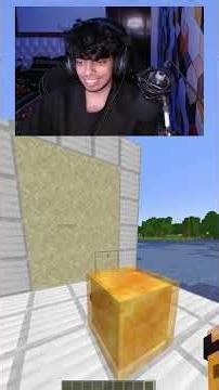 Minecraft Guess who is Lying 🤔 #minecraft