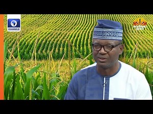 Expert Highlights Adverse Effects Of GMO Foods To Human