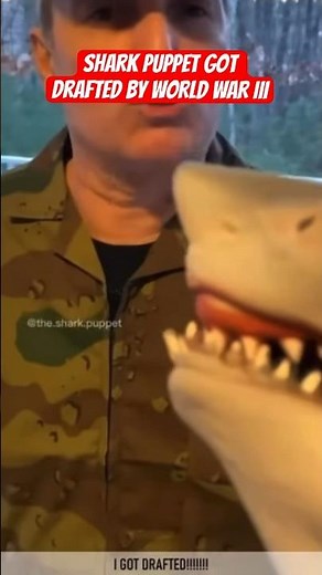 Shark Puppet Got Drafted By WORLD War 3