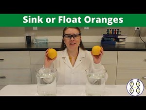 Buoyancy: Sink or Float Orange Science Experiment for Kids