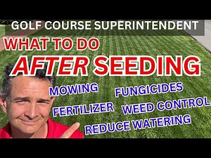 Everything You Need To Manage A Newly Seeded Lawn Pro Tips