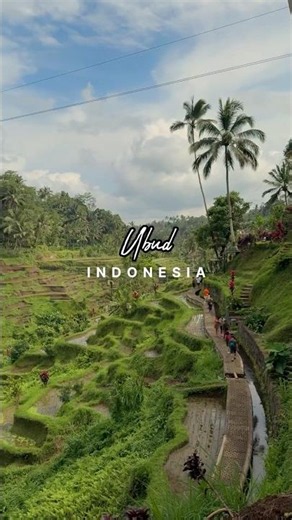 Ubud, Bali - Indonesia | One of the most lushest and greenest places on earth!
