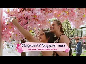 2026 National Cherry Blossom Festival - Take a Sneak Peek!