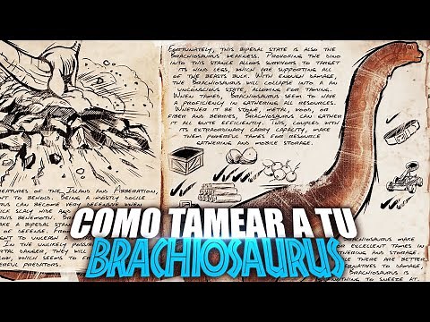 COMO TAMEAR A TU BRACHIOSAURUS | Ark Additions | Guia Español | Ark: Survival Ascended/Evolved