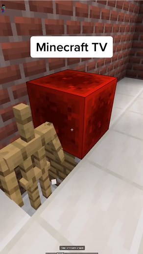 Ultimate Guide: Building a TV in Minecraft